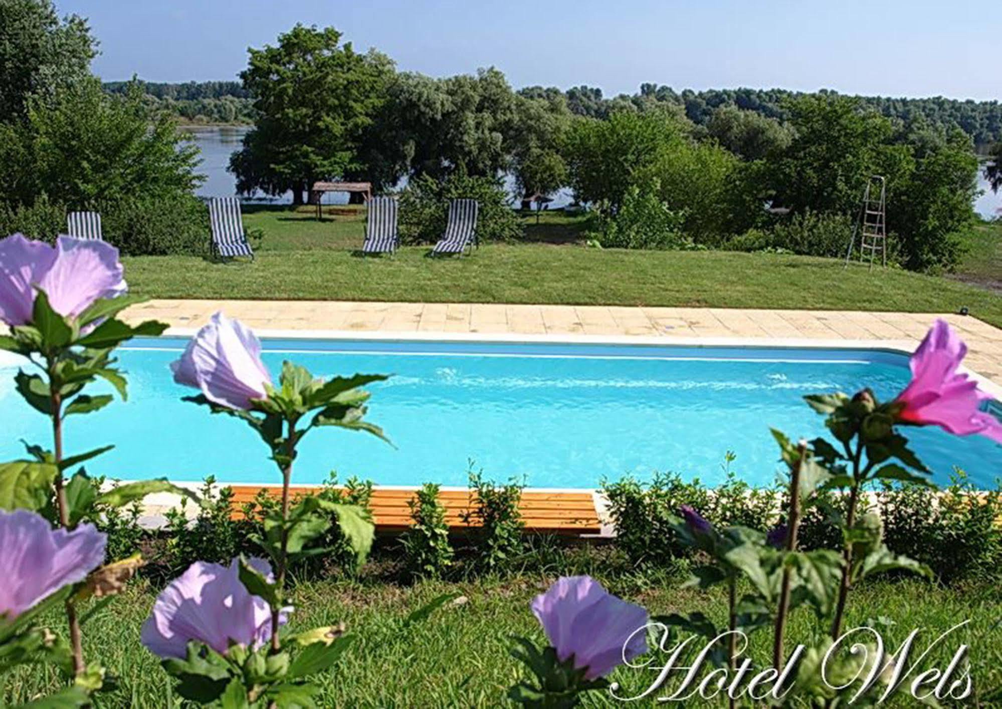 Hotel Wels Băltenii de Sus Exterior photo